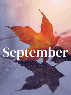 September